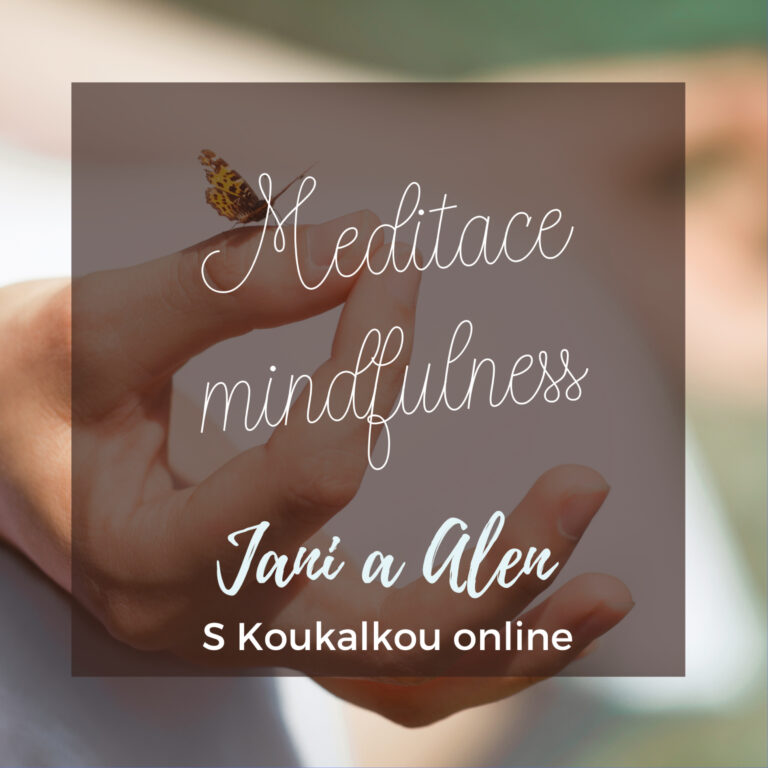 O koučování v životě i studiu: Meditace a mindfulness